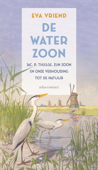 De Warerzoon door Eva Vriend