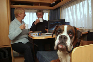 Een man en een vrouw drinken een kopje koffie of thee. De hond kijkt in de camera.